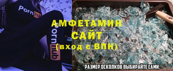 ГАЛЛЮЦИНОГЕННЫЕ ГРИБЫ Бородино